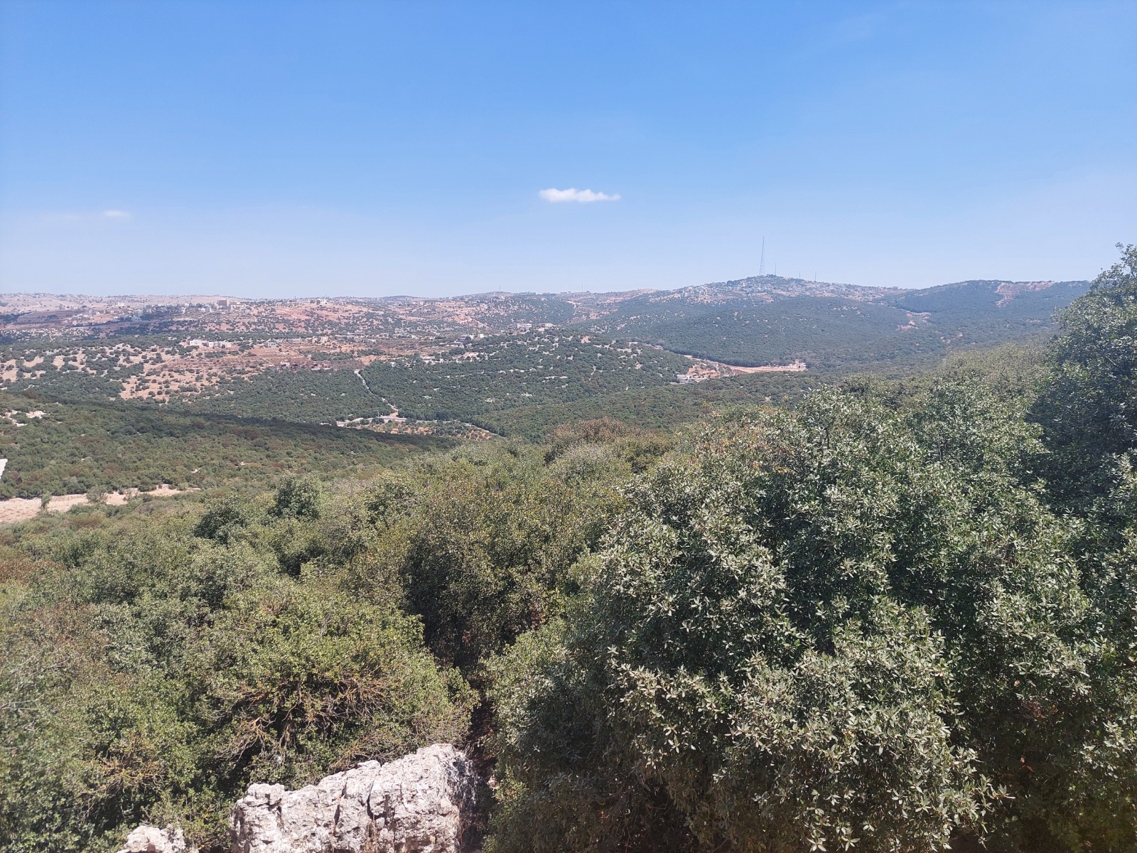Forested highlands of northern Jordan