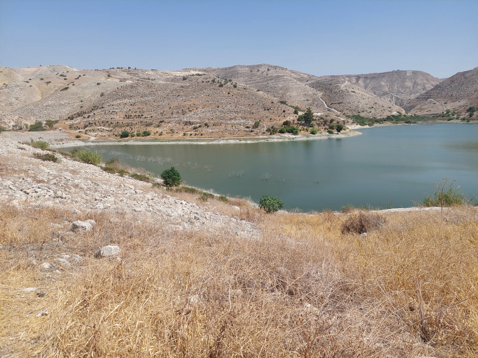 Dam reservoir in the northern Jordan Valley